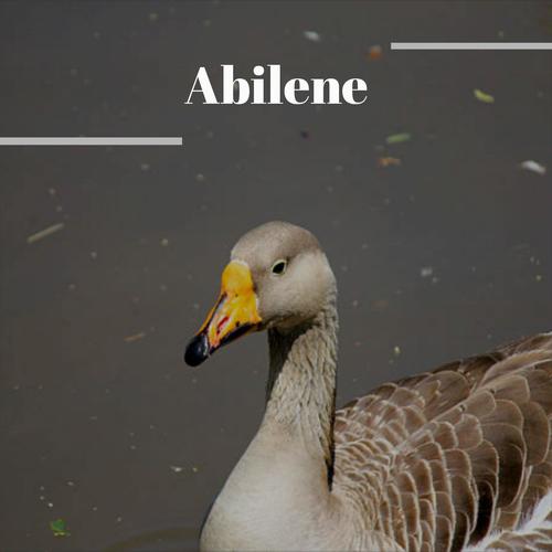 Abilene