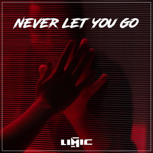 Never let you go