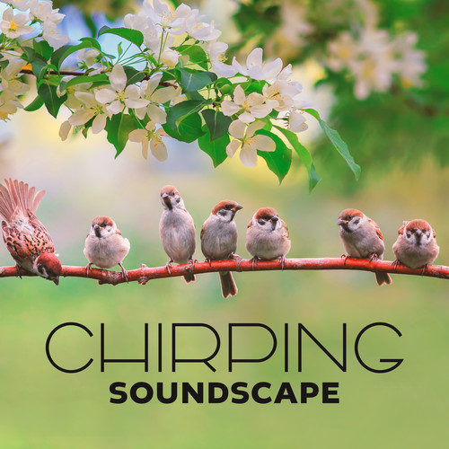 Chirping Soundscape (Spring Birds Serenity Collection)