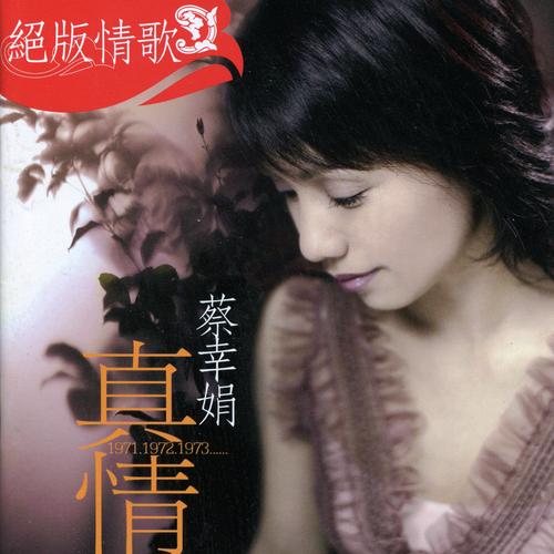 蔡幸娟-偿还.flac 下载插图