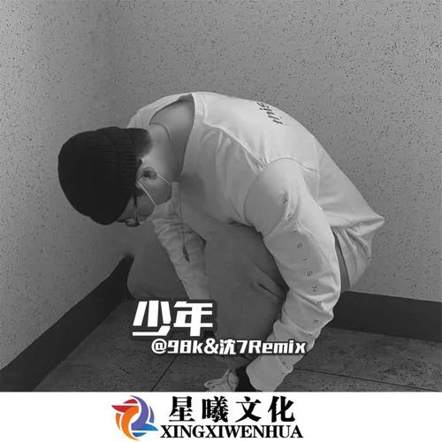 少年