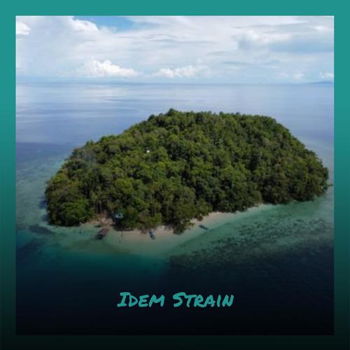 Idem Strain