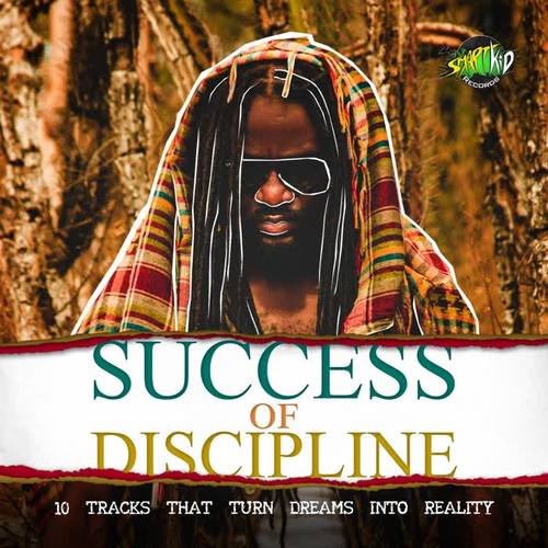 Success of Discipline