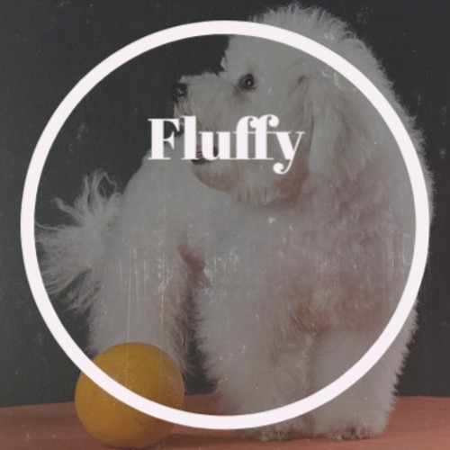 Fluffy