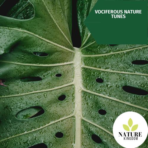 Vociferous Nature Tunes