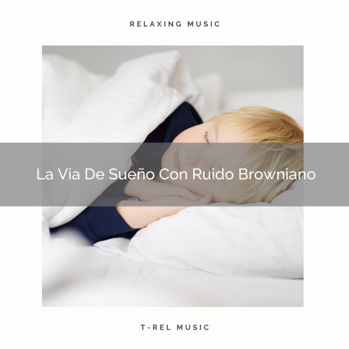 La Via De Sueño Con Ruido Browniano
