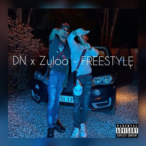 FREESTYLE (feat. Zuloo) [Explicit]