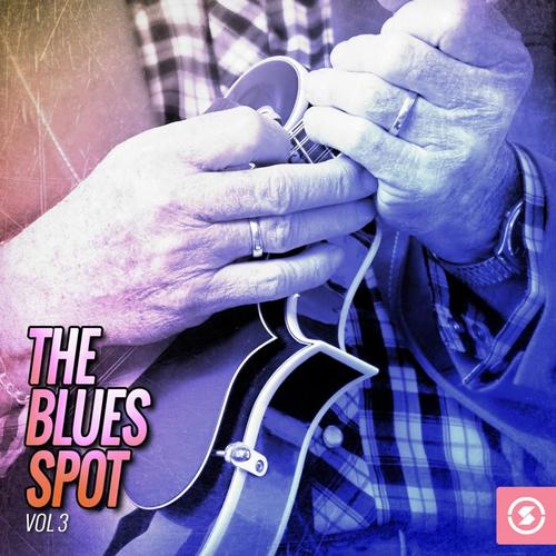 The Blues Spot, Vol. 3