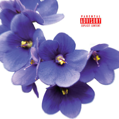 Violets Are Blue (Explicit)