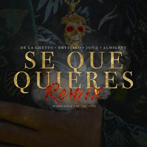 Sé Que Quieres (Remix) [Explicit]