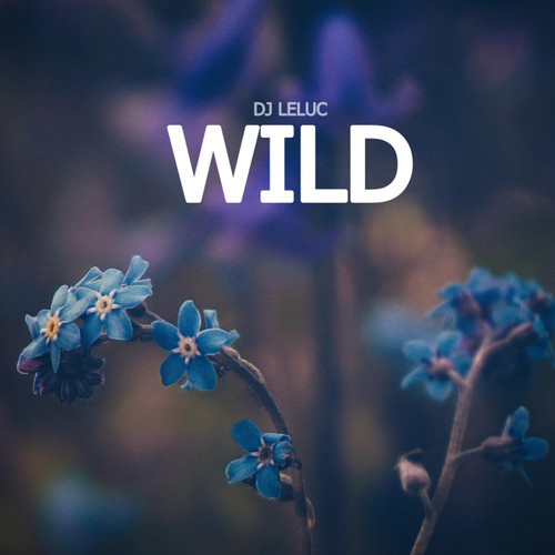 Wild (Remix)