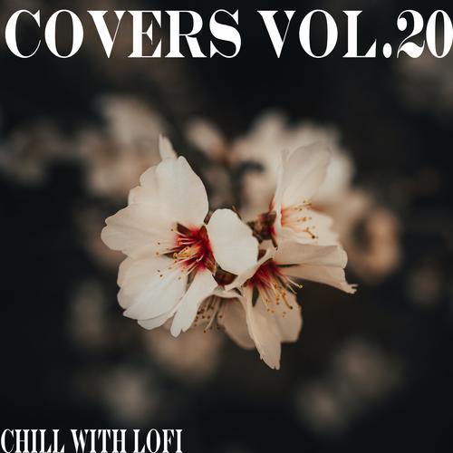 Covers Vol. 20