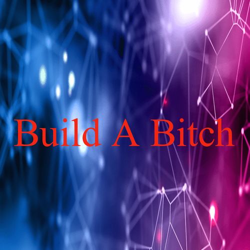 Build A Bitch
