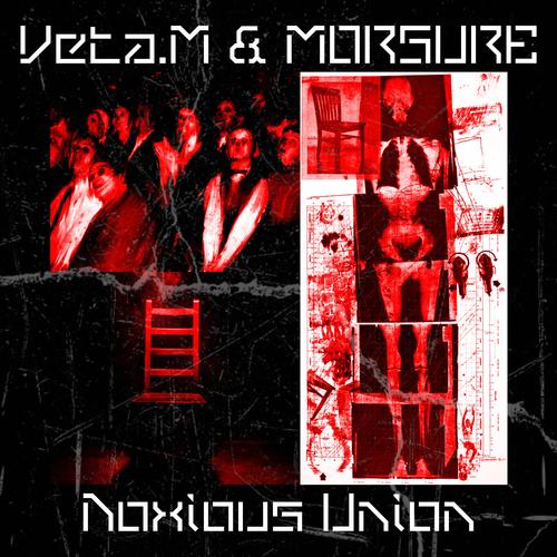 Noxious Union (feat. Veta.M)