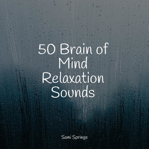 50 Brain of Mind Relaxation Sounds