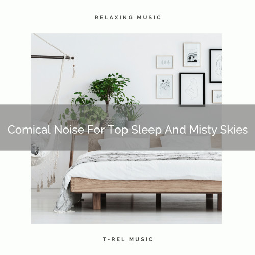 Comical Noise For Top Sleep And Misty Skies