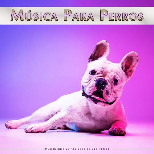 Música Para Perros: Música para La Ansiedad de Los Perros