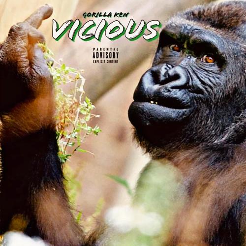 Vicious (Explicit)