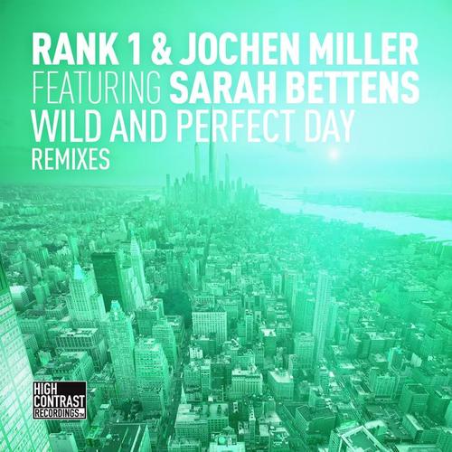 Wild and Perfect Day (The Remixes)