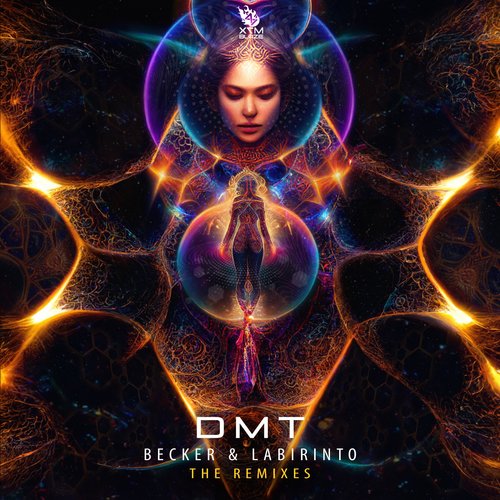 DMT - The Remixes