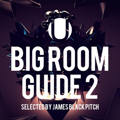 Big Room Guide 2 (Selected by James Black Pitch) [Explicit]