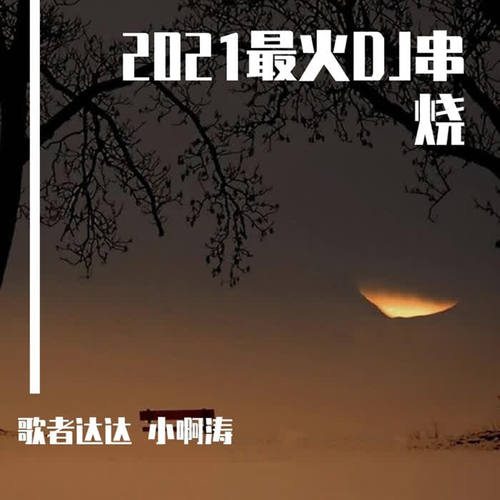 2021最火DJ串烧（热播版）
