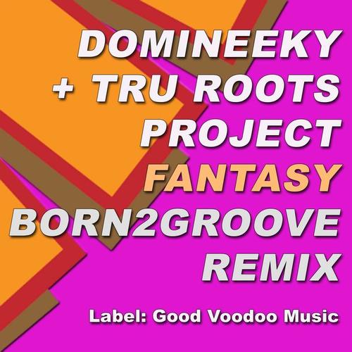 Fantasy (Born2Groove Remix)