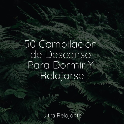 50 Compilación de Descanso Para Dormir Y Relajarse