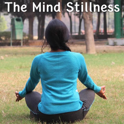 The Mind Stillness