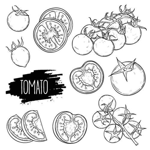 Tomato