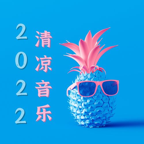 2022 清凉音乐 – 沙发音乐，Chill Out Cafe， Lounge音乐合集