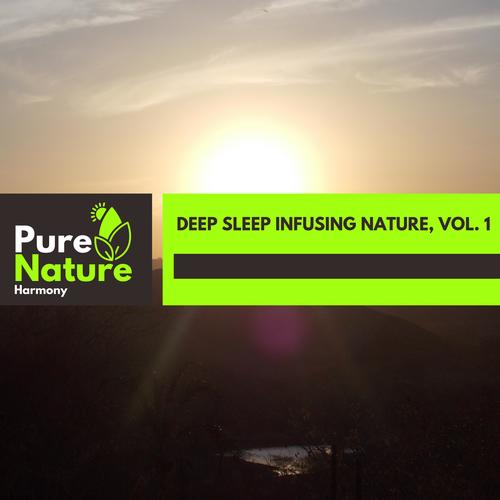 Deep Sleep Infusing Nature, Vol. 1