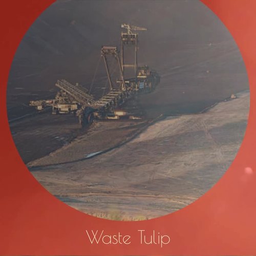 Waste Tulip