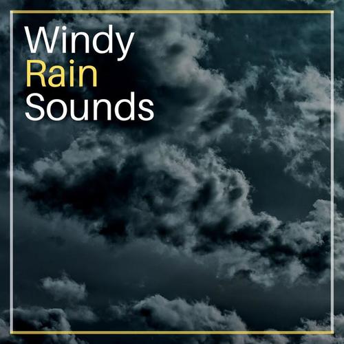 Windy Rain Sounds: White Noise Ambient for Anxiety & Insomnia