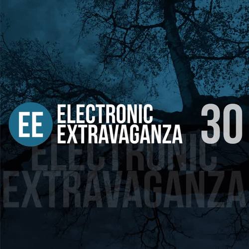 Electronic Extravaganza, Vol. 30