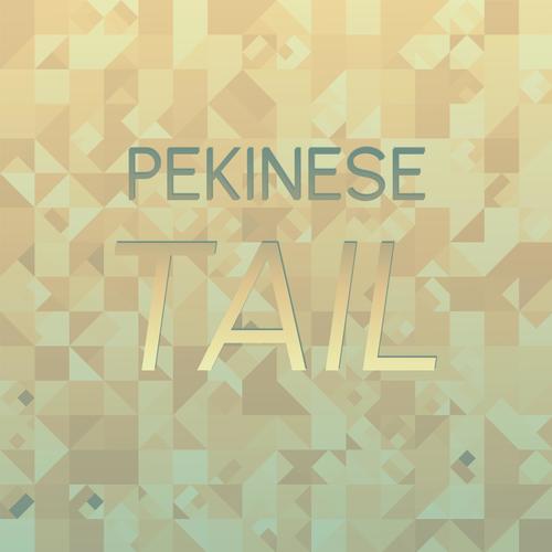 Pekinese Tail