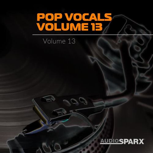 Pop Vocals Volume 13