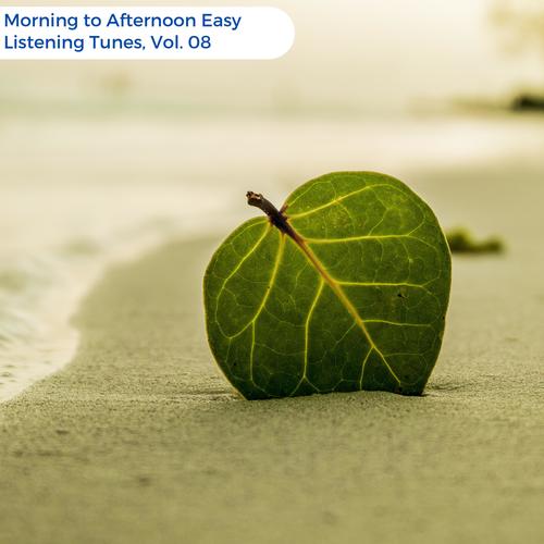 Morning To Afternoon Easy Listening Tunes, Vol. 08