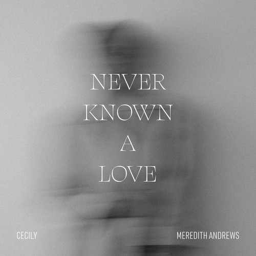 Never Known A Love