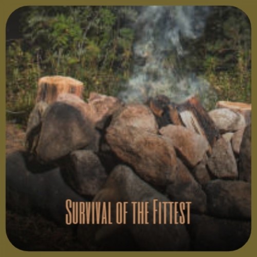 Survival of the Fittest