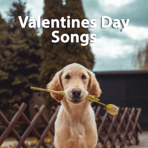 Valentines Day Songs (Explicit)