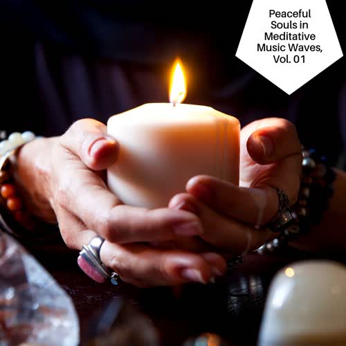 Peaceful Souls In Meditative Music Waves, Vol. 01