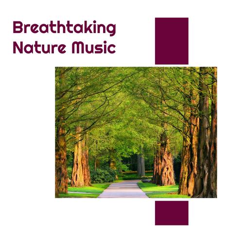 Breathtaking Nature Music