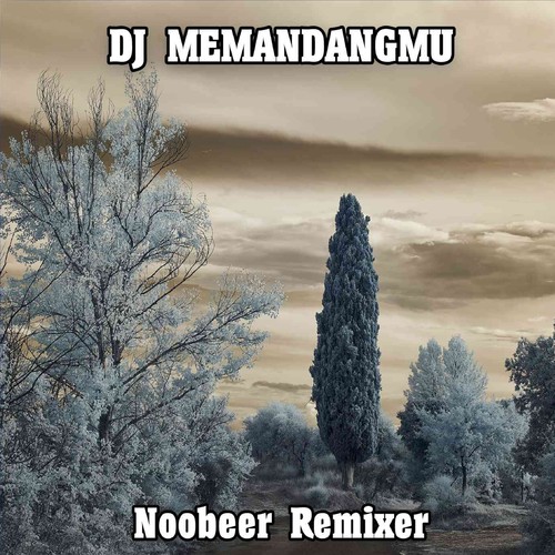 DJ MEMANDANGMU