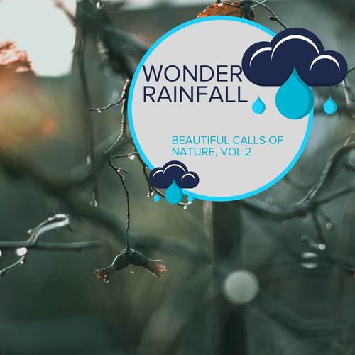 Wonder Rainfall - Beautiful Calls of Nature, Vol.2