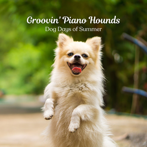 Groovin' Piano Hounds: Dog Days of Summer