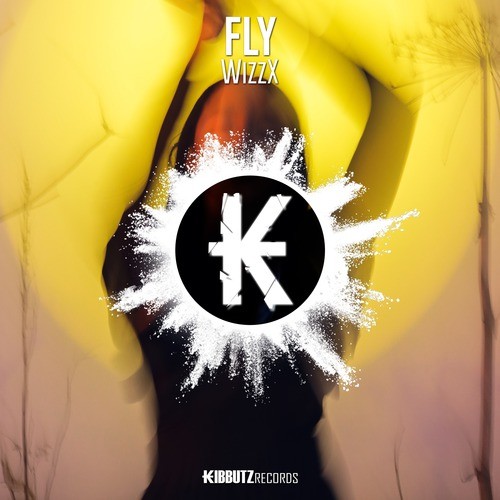 Fly