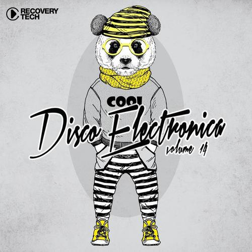 Disco Electronica, Vol. 14