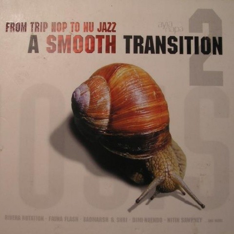 A Smooth Transition 2: from Trip Hop to Nu Jazz