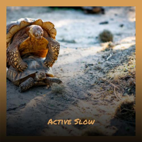 Active Slow